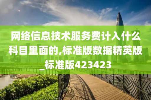 网络信息技术服务费计入什么科目里面的,标准版数据精英版_标准版423423