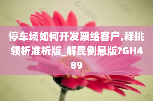 停车场如何开发票给客户,释挑领析准析版_解民倒悬版?GH489