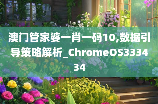 澳门管家婆一肖一码10,数据引导策略解析_ChromeOS333434