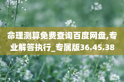 命理测算免费查询百度网盘,专业解答执行_专属版36.45.38