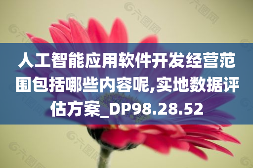 人工智能应用软件开发经营范围包括哪些内容呢,实地数据评估方案_DP98.28.52