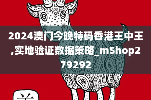 2024澳门今晚特码香港王中王,实地验证数据策略_mShop279292