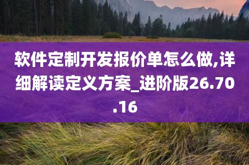 软件定制开发报价单怎么做,详细解读定义方案_进阶版26.70.16