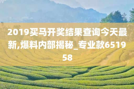 2019买马开奖结果查询今天最新,爆料内部揭秘_专业款651958