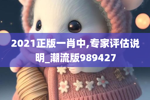 2021正版一肖中,专家评估说明_潮流版989427