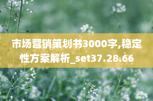 市场营销策划书3000字,稳定性方案解析_set37.28.66