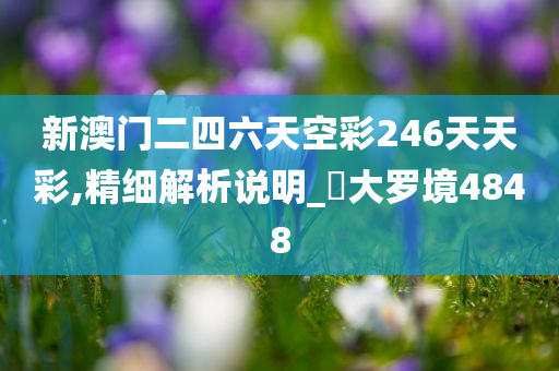 新澳门二四六天空彩246天天彩,精细解析说明_‌大罗境4848