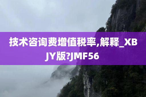 技术咨询费增值税率,解释_XBJY版?JMF56