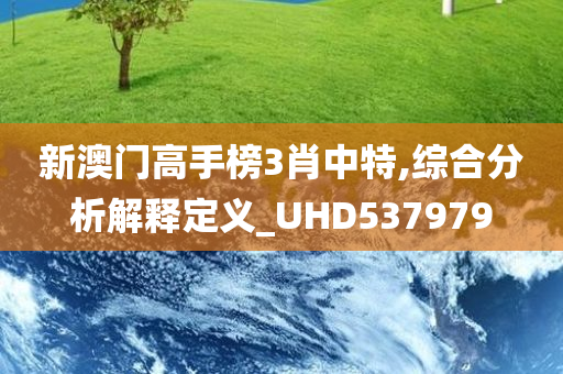 新澳门高手榜3肖中特,综合分析解释定义_UHD537979