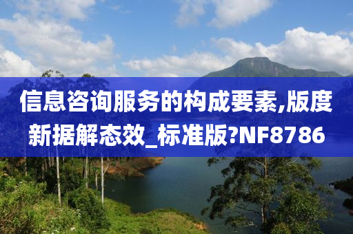 信息咨询服务的构成要素,版度新据解态效_标准版?NF8786