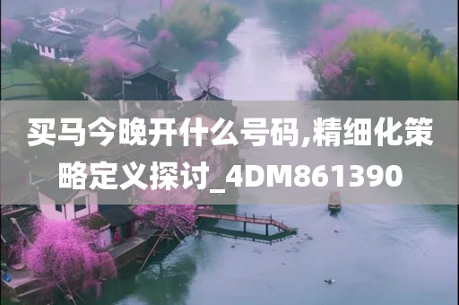 买马今晚开什么号码,精细化策略定义探讨_4DM861390