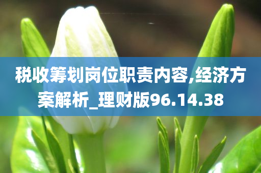 税收筹划岗位职责内容,经济方案解析_理财版96.14.38