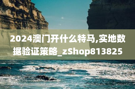 2024澳门开什么特马,实地数据验证策略_zShop813825