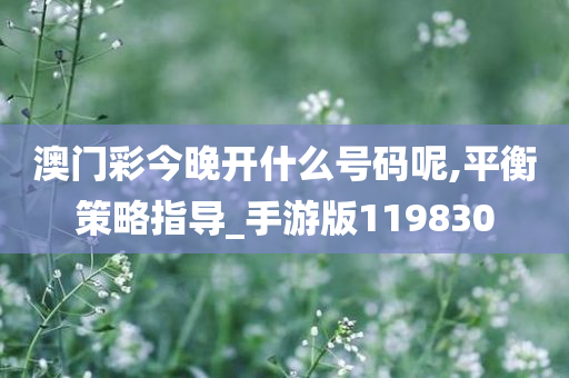 澳门彩今晚开什么号码呢,平衡策略指导_手游版119830