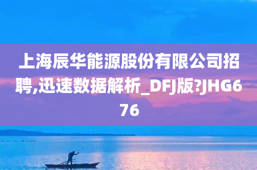 上海辰华能源股份有限公司招聘,迅速数据解析_DFJ版?JHG676