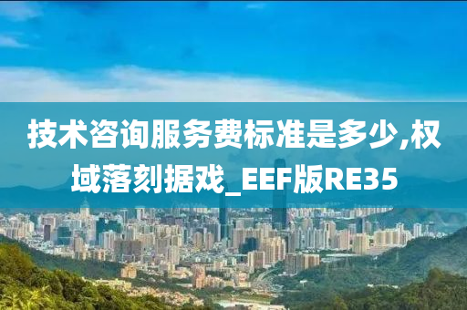 技术咨询服务费标准是多少,权域落刻据戏_EEF版RE35