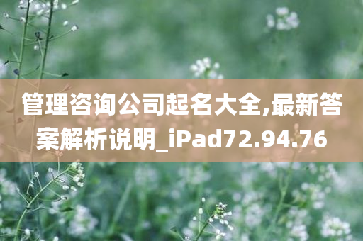 管理咨询公司起名大全,最新答案解析说明_iPad72.94.76