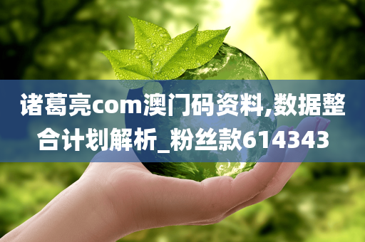 诸葛亮com澳门码资料,数据整合计划解析_粉丝款614343