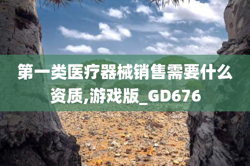 第一类医疗器械销售需要什么资质,游戏版_GD676