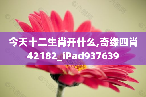 今天十二生肖开什么,奇缘四肖42182_iPad937639