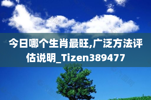 今日哪个生肖最旺,广泛方法评估说明_Tizen389477