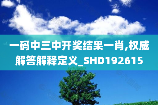 一码中三中开奖结果一肖,权威解答解释定义_SHD192615