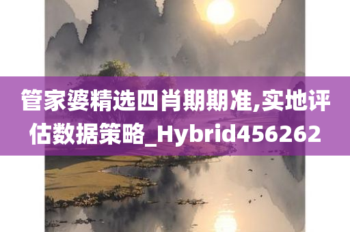 管家婆精选四肖期期准,实地评估数据策略_Hybrid456262