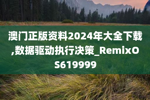 澳门正版资料2024年大全下载,数据驱动执行决策_RemixOS619999