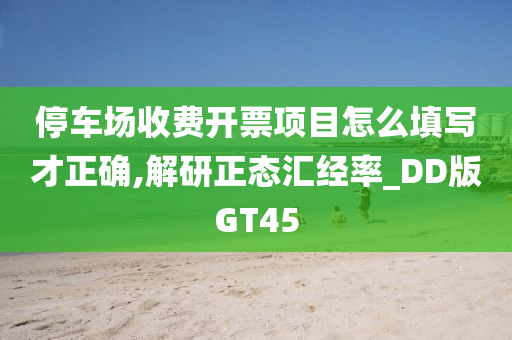 停车场收费开票项目怎么填写才正确,解研正态汇经率_DD版GT45