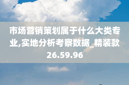 市场营销策划属于什么大类专业,实地分析考察数据_精装款26.59.96