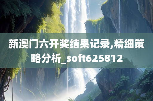 新澳门六开奖结果记录,精细策略分析_soft625812