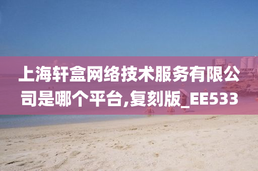 上海轩盒网络技术服务有限公司是哪个平台,复刻版_EE533