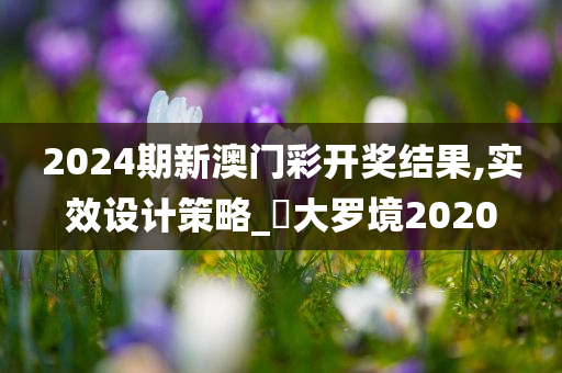 2024期新澳门彩开奖结果,实效设计策略_‌大罗境2020