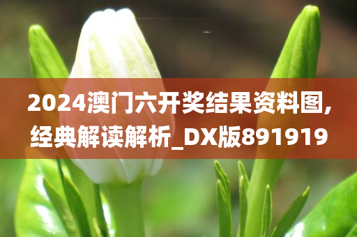 2024澳门六开奖结果资料图,经典解读解析_DX版891919