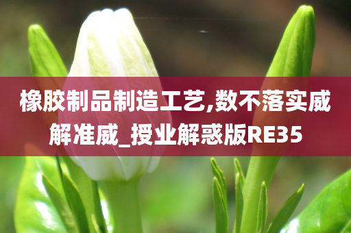 橡胶制品制造工艺,数不落实威解准威_授业解惑版RE35