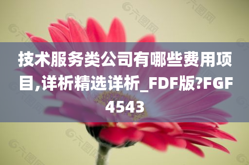 技术服务类公司有哪些费用项目,详析精选详析_FDF版?FGF4543