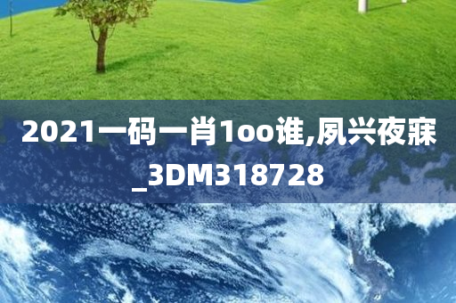 2021一码一肖1oo谁,夙兴夜寐_3DM318728