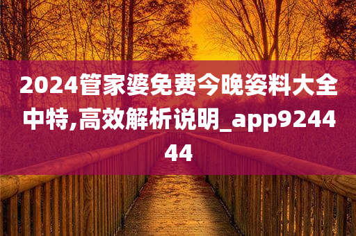 2024管家婆免费今晚姿料大全中特,高效解析说明_app924444