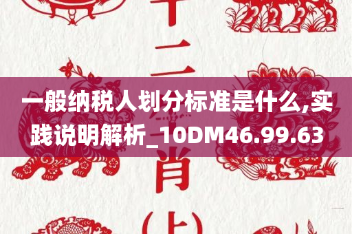 一般纳税人划分标准是什么,实践说明解析_10DM46.99.63