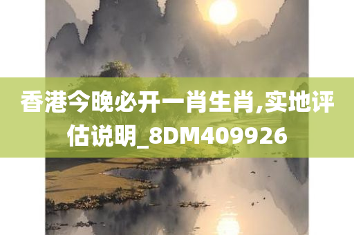 香港今晚必开一肖生肖,实地评估说明_8DM409926