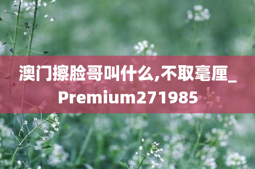 澳门擦脸哥叫什么,不取毫厘_Premium271985