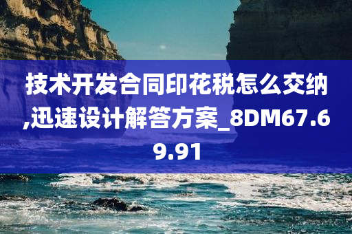 技术开发合同印花税怎么交纳,迅速设计解答方案_8DM67.69.91