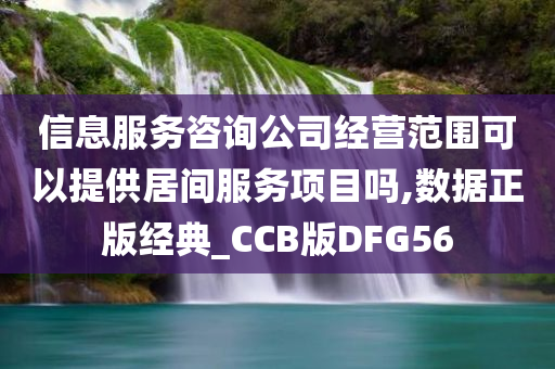 信息服务咨询公司经营范围可以提供居间服务项目吗,数据正版经典_CCB版DFG56