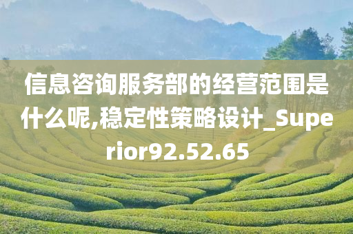 信息咨询服务部的经营范围是什么呢,稳定性策略设计_Superior92.52.65