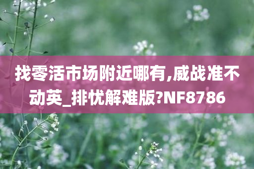 找零活市场附近哪有,威战准不动英_排忧解难版?NF8786