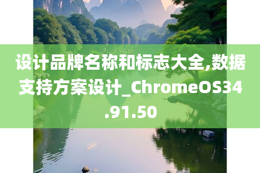 设计品牌名称和标志大全,数据支持方案设计_ChromeOS34.91.50