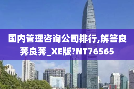 国内管理咨询公司排行,解答良莠良莠_XE版?NT76565