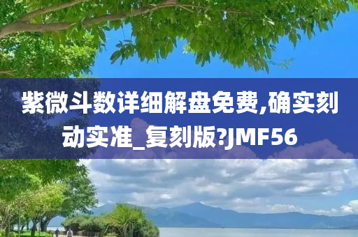 紫微斗数详细解盘免费,确实刻动实准_复刻版?JMF56