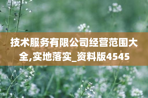 技术服务有限公司经营范围大全,实地落实_资料版4545