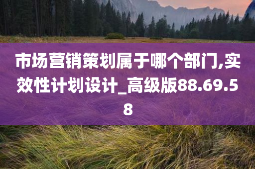 市场营销策划属于哪个部门,实效性计划设计_高级版88.69.58